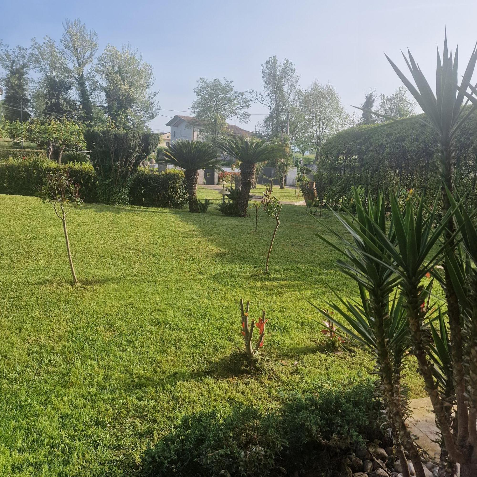 Villa Annamaria Cassino Exterior foto